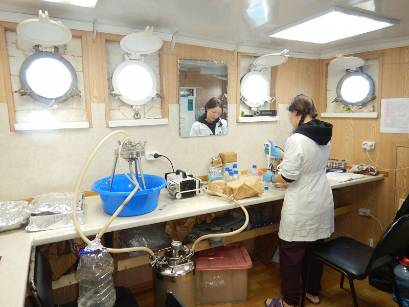 372 В лабораториях на НИС Верещагин, микробиология (Настя)